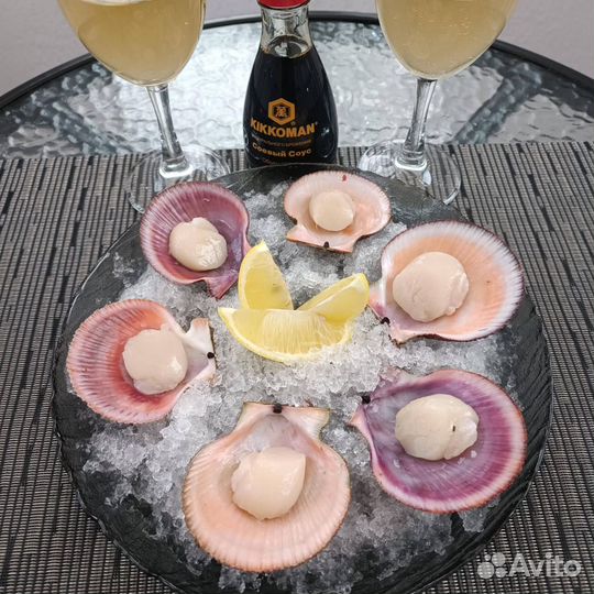Живой гребешок Морской Морепродукты