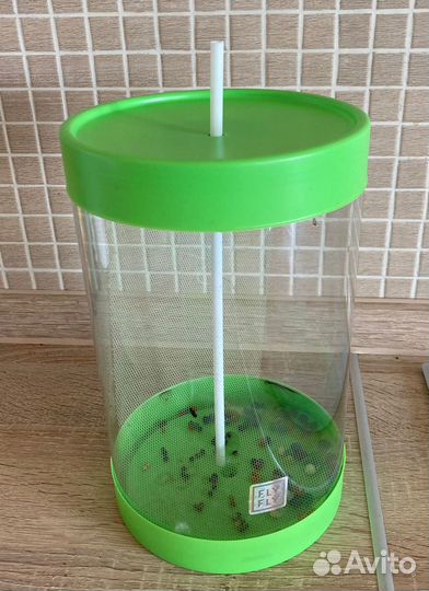 Бабочкарий