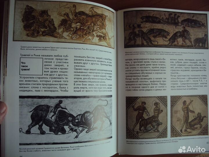 Гладиаторы. Римляне, рабы, гладиаторы