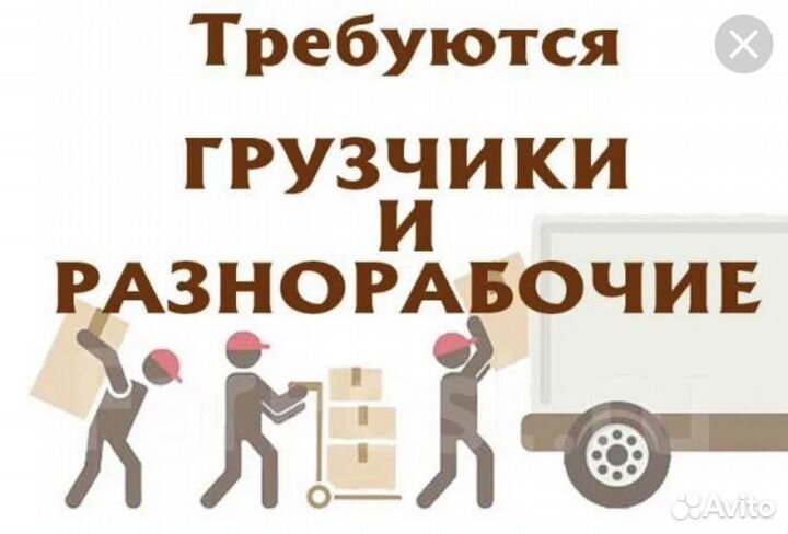 Грузчики оплата ежедневная