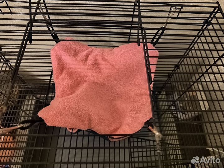 Гамак для крыс