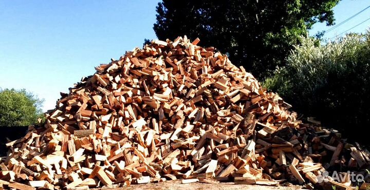 Дрова с Приморска