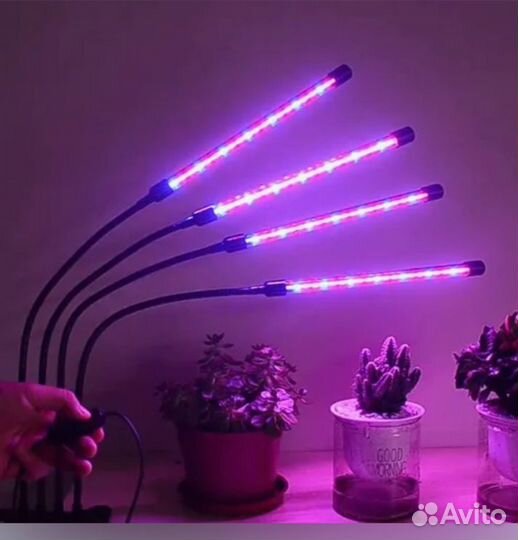 Лампа для растений