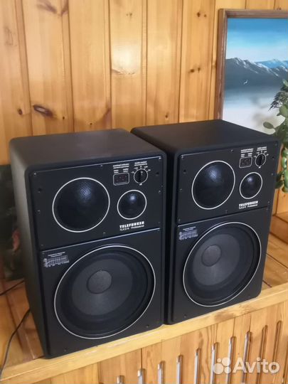 Telefunken TLX 2/4 Professional