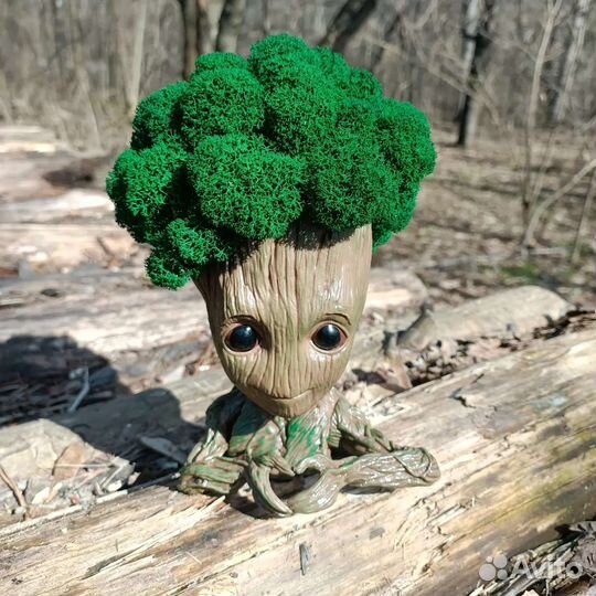 Грут со мхом