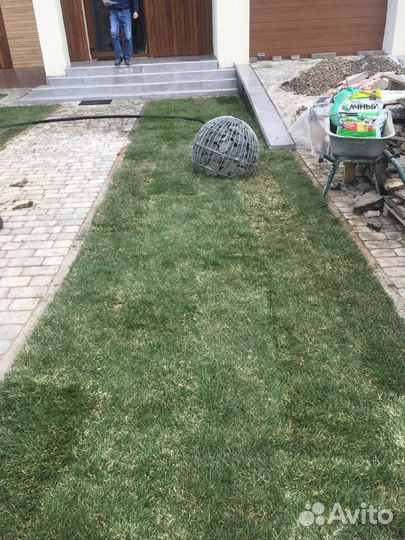 Укладка рулонного газона