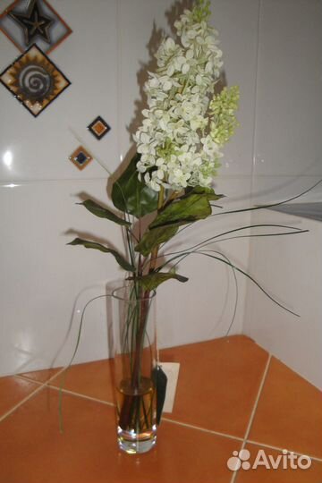 Декоративные цветы