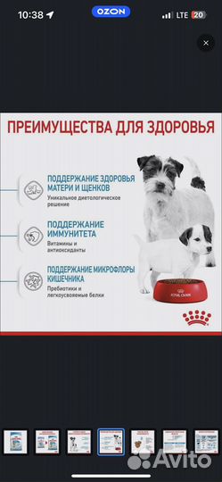 Сухой корм для собак royal canin starter