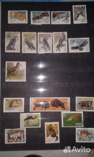 Коллекция марок