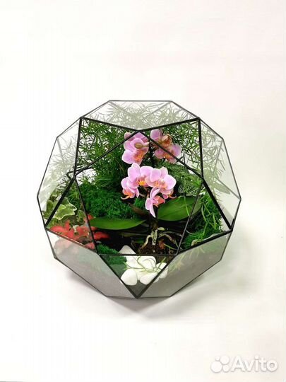 Орхидариум в шаре, L