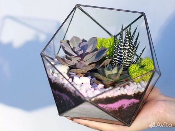 Флорариум на заказ