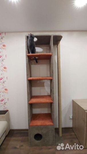 Домик для котов