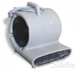 Аренда моющего пылесоса для мебели