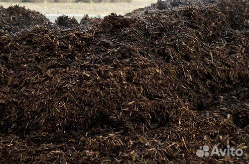 Навоз коровий