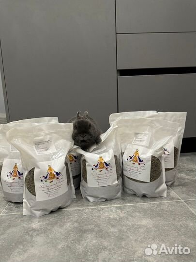 Кролики ручные миниатюрные