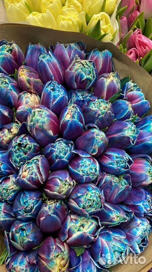 Тюльпаны космические,пионовидные с доставкой