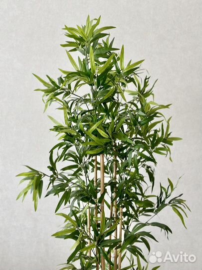 Искусственное растение, Икеа Фейка (IKEA Fejka)