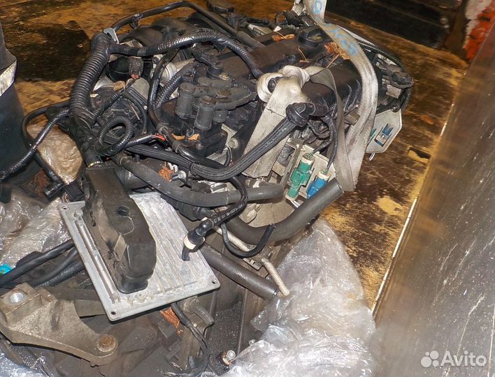 Двигатель hxda hxdb Ford Focus 2 1,6 115 л.с