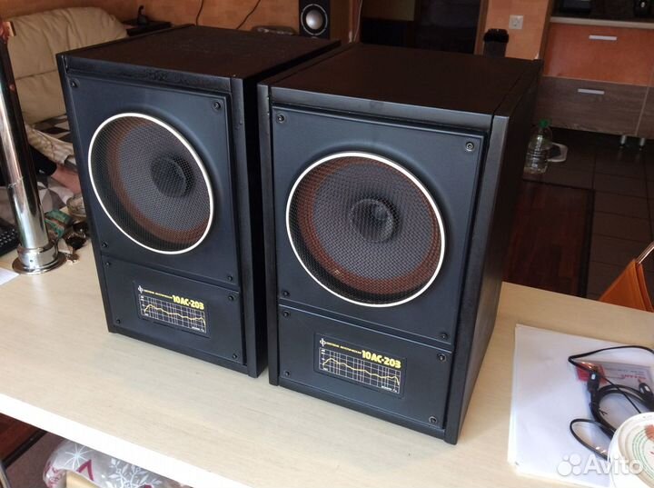 Акустика 10ас - 203