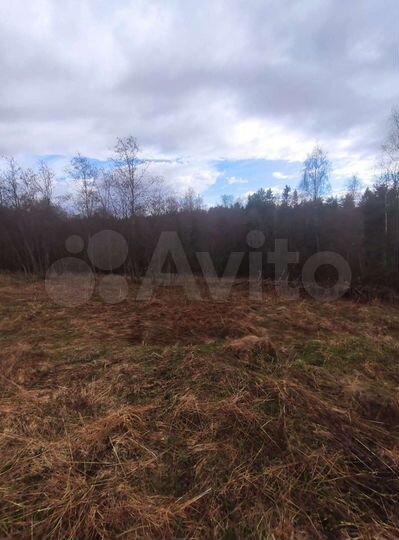 Участок 64 сот. (СНТ, ДНП)