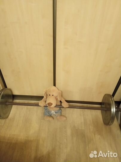 Штанга разборная