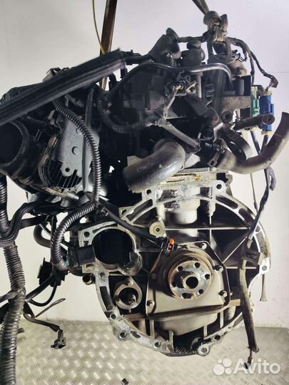 Двигатель Ford Focus 1.6 бензин 2012