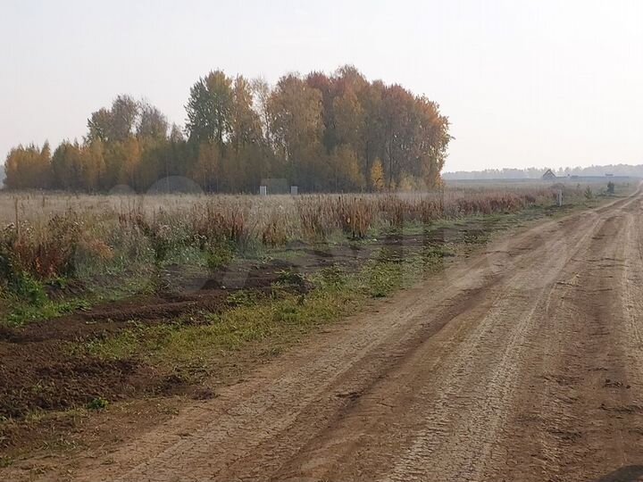 Участок 10,7 сот. (СНТ, ДНП)