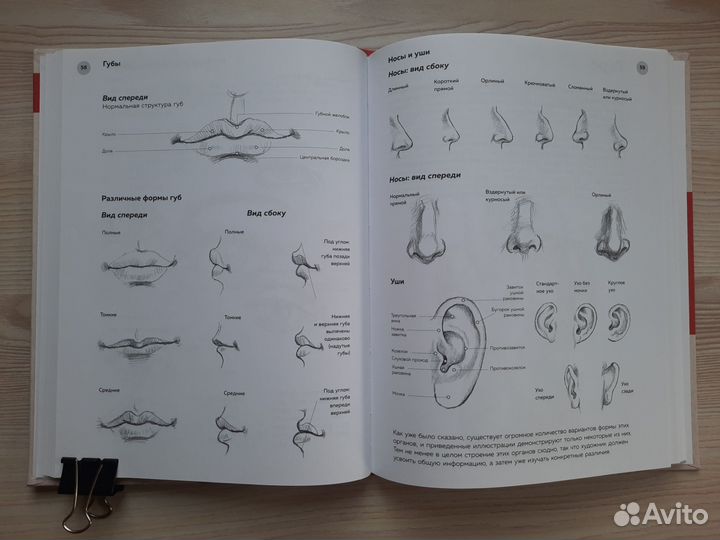 Книги для художников