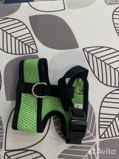 Одежда для собаки мини