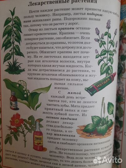 Галина Шалаева 