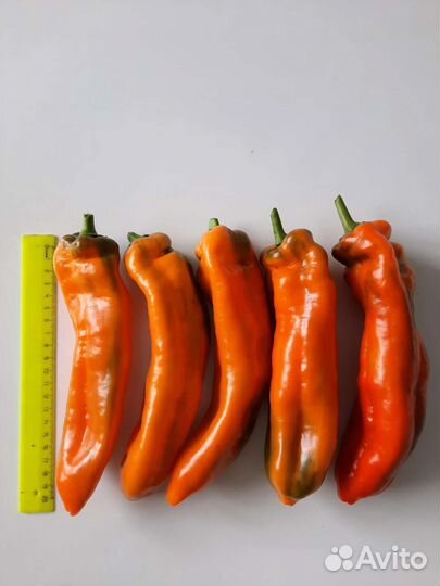 Шикарный перец семена