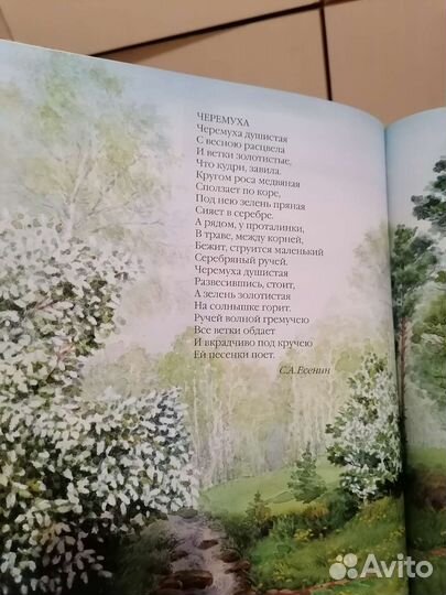 Книга поэзия