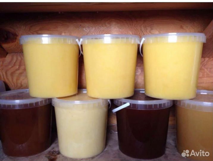 Мед. Продукты пчеловодства