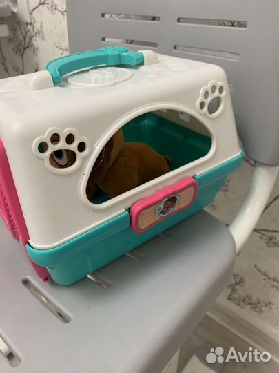 Питомец в переноске