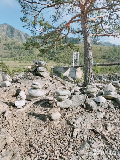 Поездка в горный Алтай