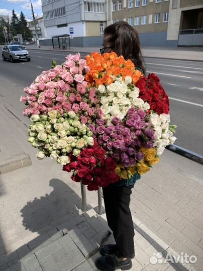 Розы, кустовые розы