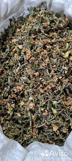 Саган дайля