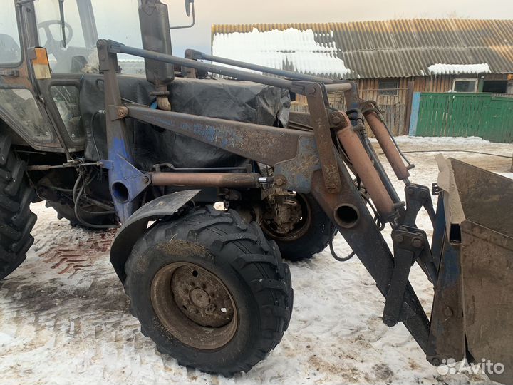 Кун на Беларус