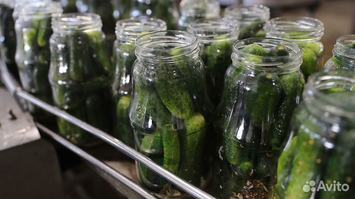 Упаковщик. Проживание/питание