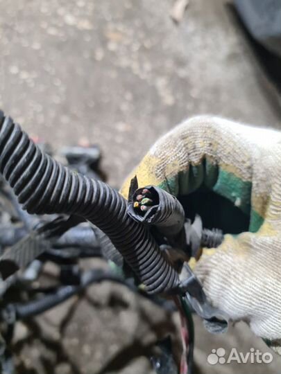 Проводка двс Ford Focus 2 2006