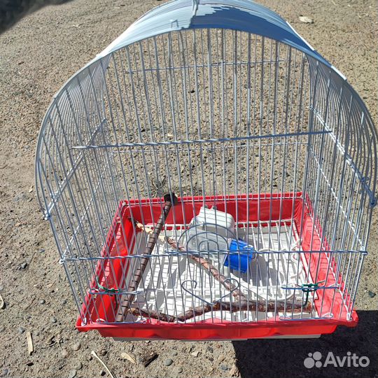 Клетка для волнистого попугая