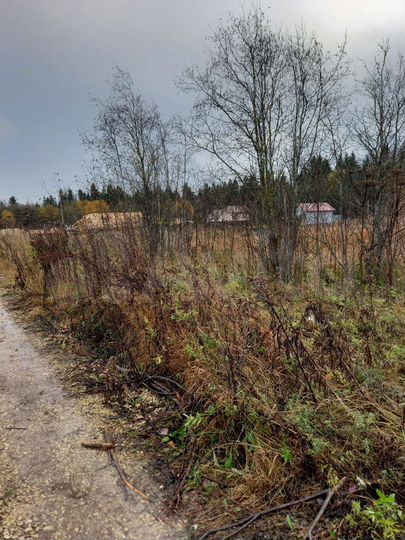 Участок 19,3 сот. (ИЖС)