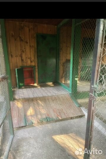 Зоогостиница для собак