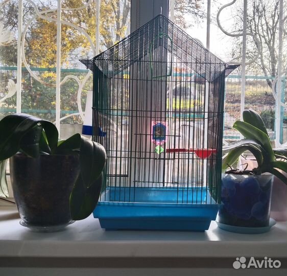 Клетка для попугая