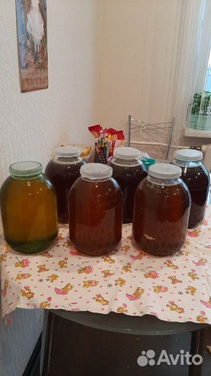 Мед гречишный цветочный