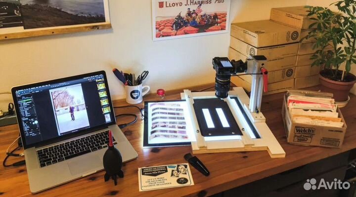 Сканирование и оцифровка фотопленки