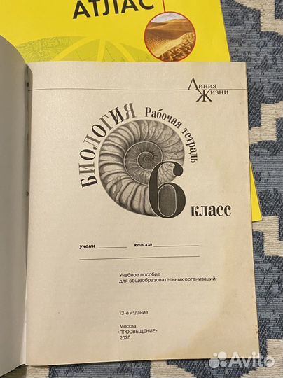 Рабочие тетради 5-6 класс