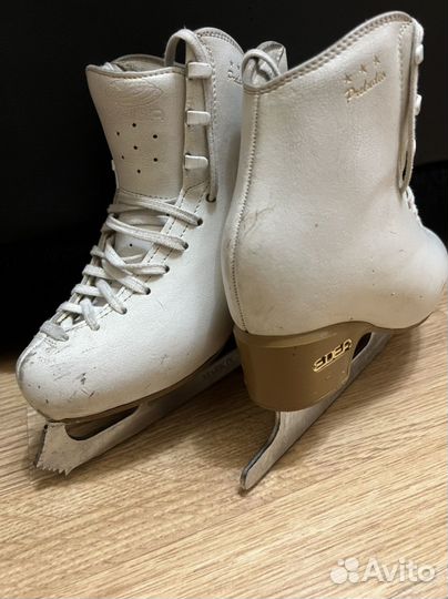 Коньки edea Preludia