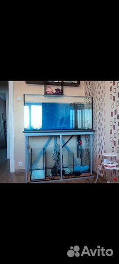 Морской аквариум