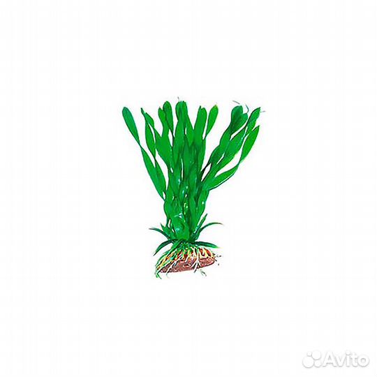 Растение Тритон пластмассовое 19 см 1983